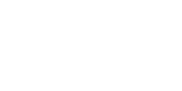 에이스 넷 logo